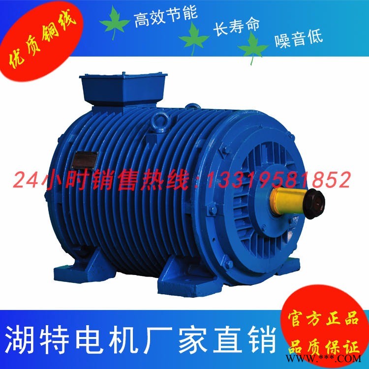 湖特电机JG2、YGa、YGb、YGCJ、YGFF系列辊道三相异步电动机图1