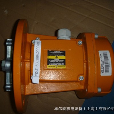 意大利进口振动电机，ITALVIBRAS立式振动电机  MTF 3/800-S02-LAM 三相异步电动机