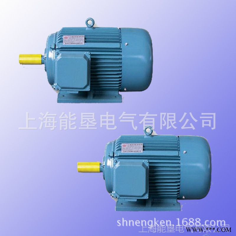 Y225S-4 37KW机械设备三相异步电动机 上海能垦立式电机图1