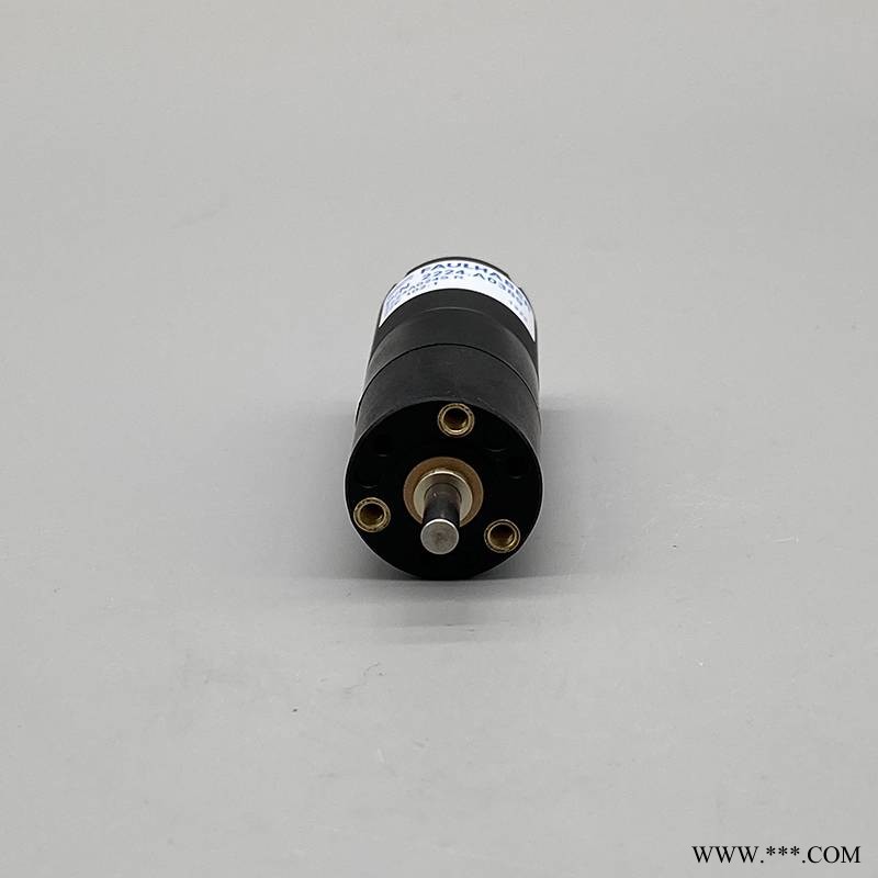 FAULHABER 冯哈伯马达 2225V012S 22BK 81:1 小型直流电机图1
