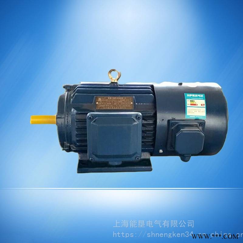 厂家 YVP315S-2 110KW变频调速三相异步电动机 上海能垦变频电机图1