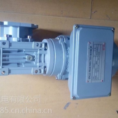 品牌铝合金涡轮减速机配单相异步电动机RV050/40-F2-YL7124-037KW