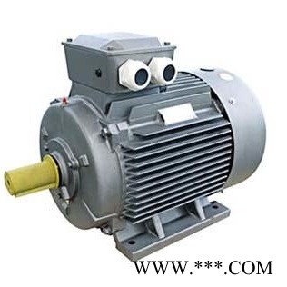中西YE2系列三相异步电动机 型号:TJ46-YE2-200L-8 库号：M148085图1