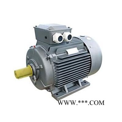 中西YE2系列三相异步电动机 型号:TJ46-YE2-200L-8 库号：M148085