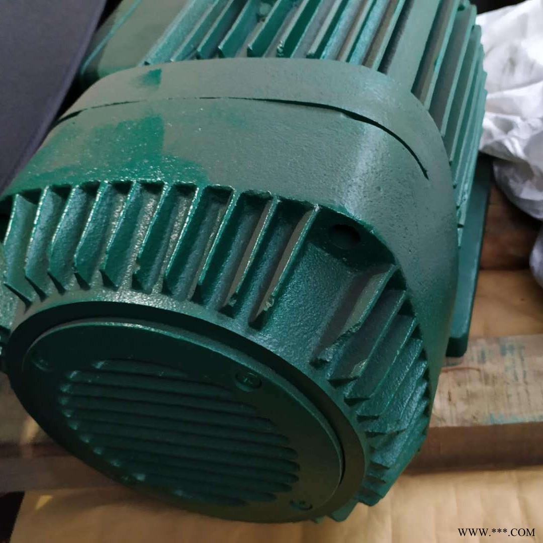 三顺特种电机  YZE  YEZ  125 锥形转子电动机钢铁厂夹钳电机设备专用图1