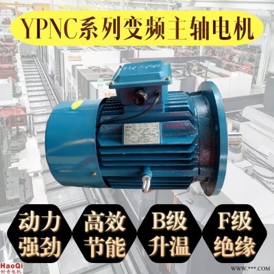 YPNC系列变频主轴电机  三相感应变频电机  基频制电机  1.5/2.2kw  50Hz  IEC标准 好奇电机
