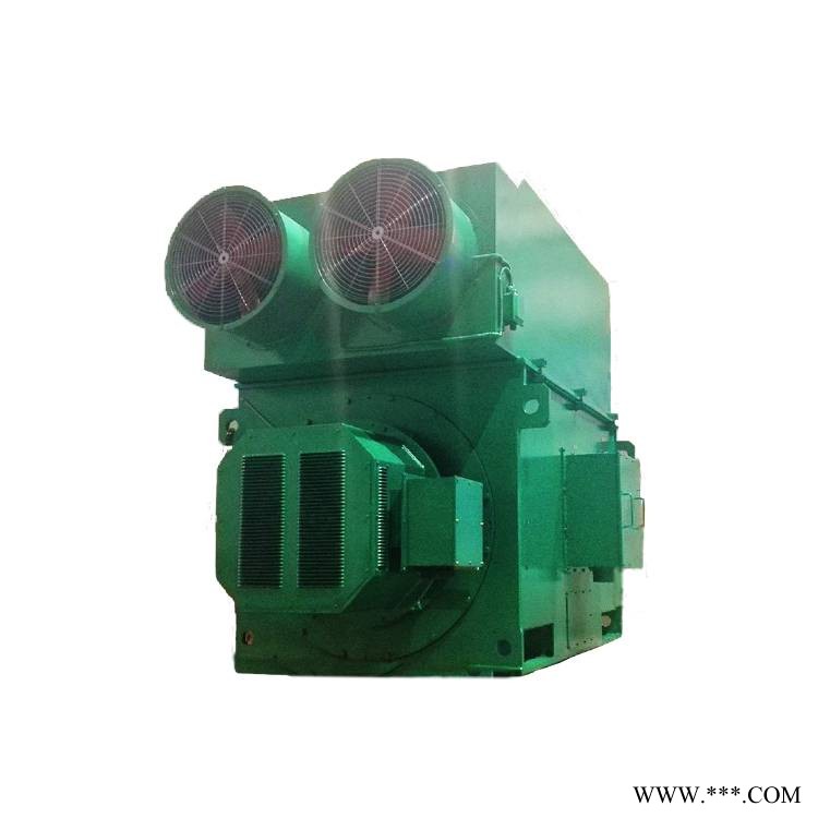 现货销售西安泰富西玛电机YRKK6303-4-1600KW-配SKF轴承的高压绕线电机图1