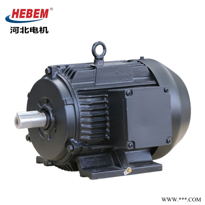 HEBEM河北电机IEC IE3 IE2 Y Y2 YE2 YE3-355L-6电机 315KW三相高速交流异步电动机图1