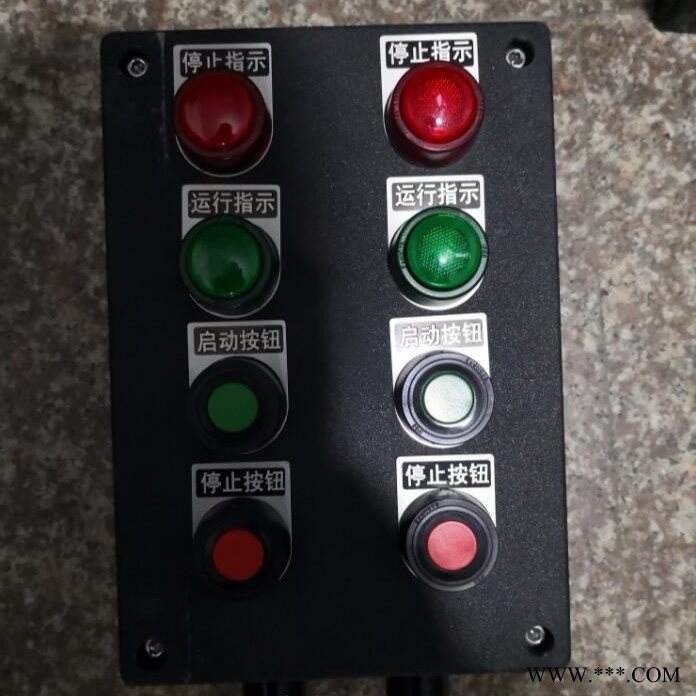 2回路电机启动防爆操作箱,BZC8050-A4D4G防爆操作柱 电机现场启动盒图1