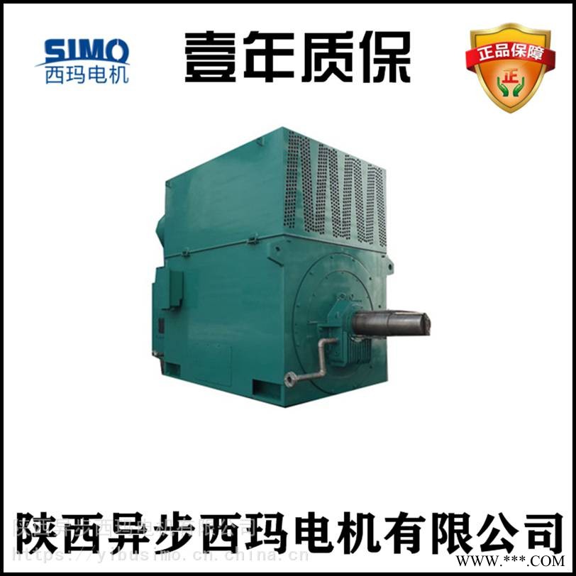 泰富西玛电机Y4004-2/315KW/10KV高压电机国家标准（品牌电机）图1