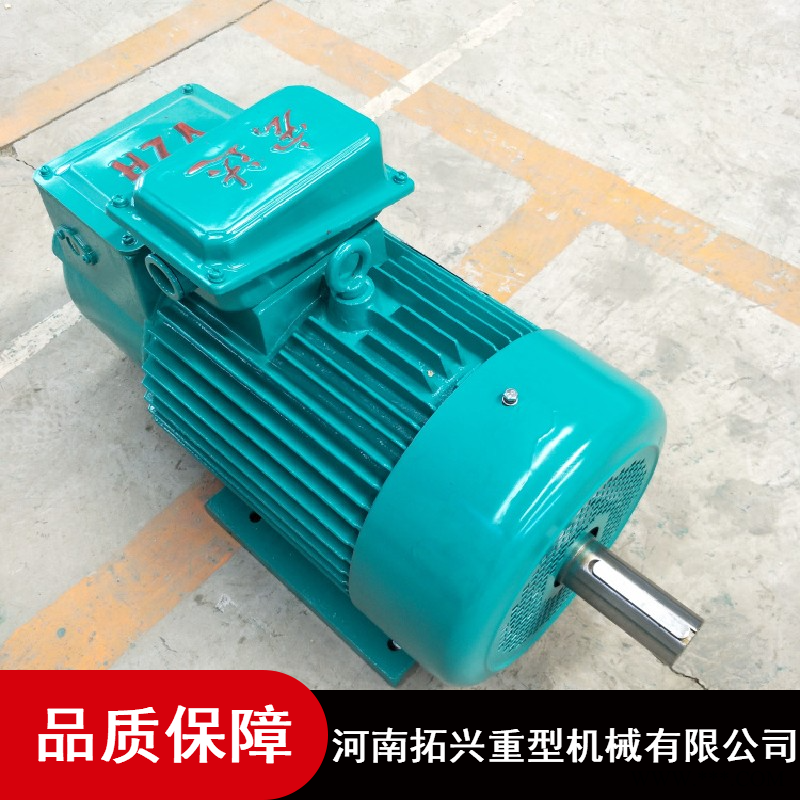 单轴变频调速电机YZR型抓斗行车专用电机江苏宏达电机市场价图1