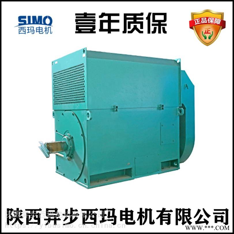 陕西西玛电机厂Y5301-2/1800KW/10KV高压泵电机（品牌电机）图1