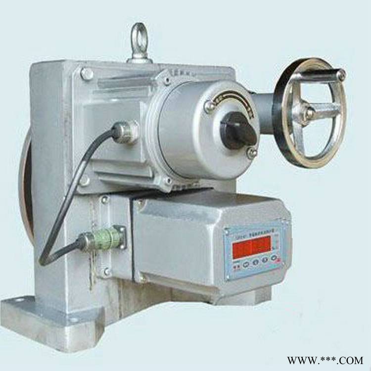 DKJ-310电动执行机构电机 DKJ-3100M电动执行器电机图1