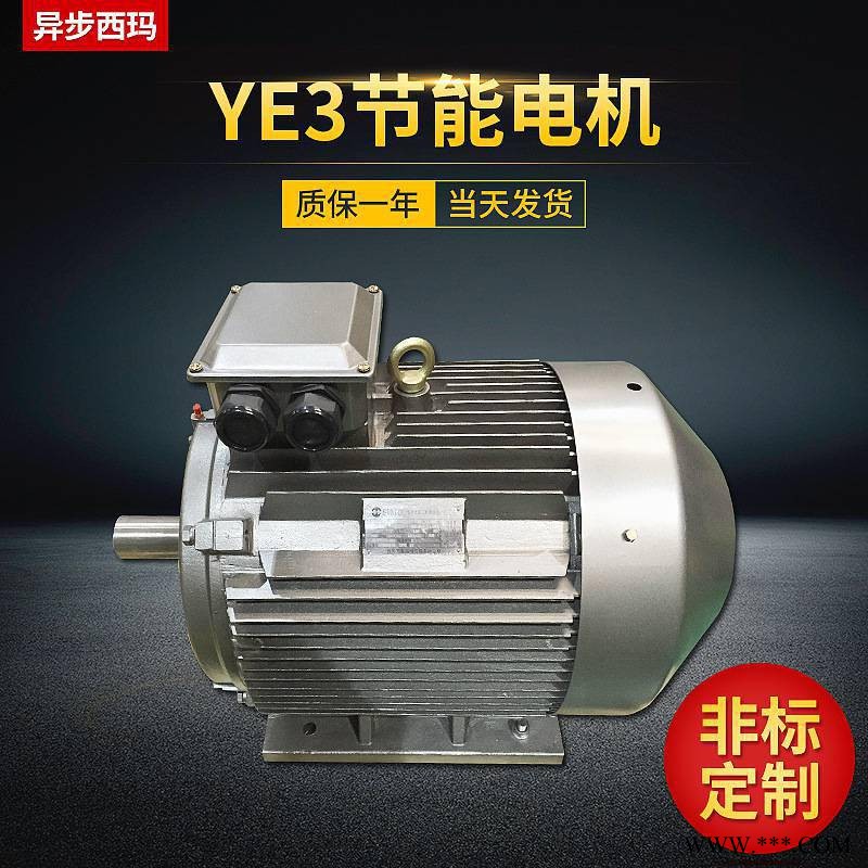 泰富西玛电机YE2-200Ll-6/18.5KW风机设备用电机图1