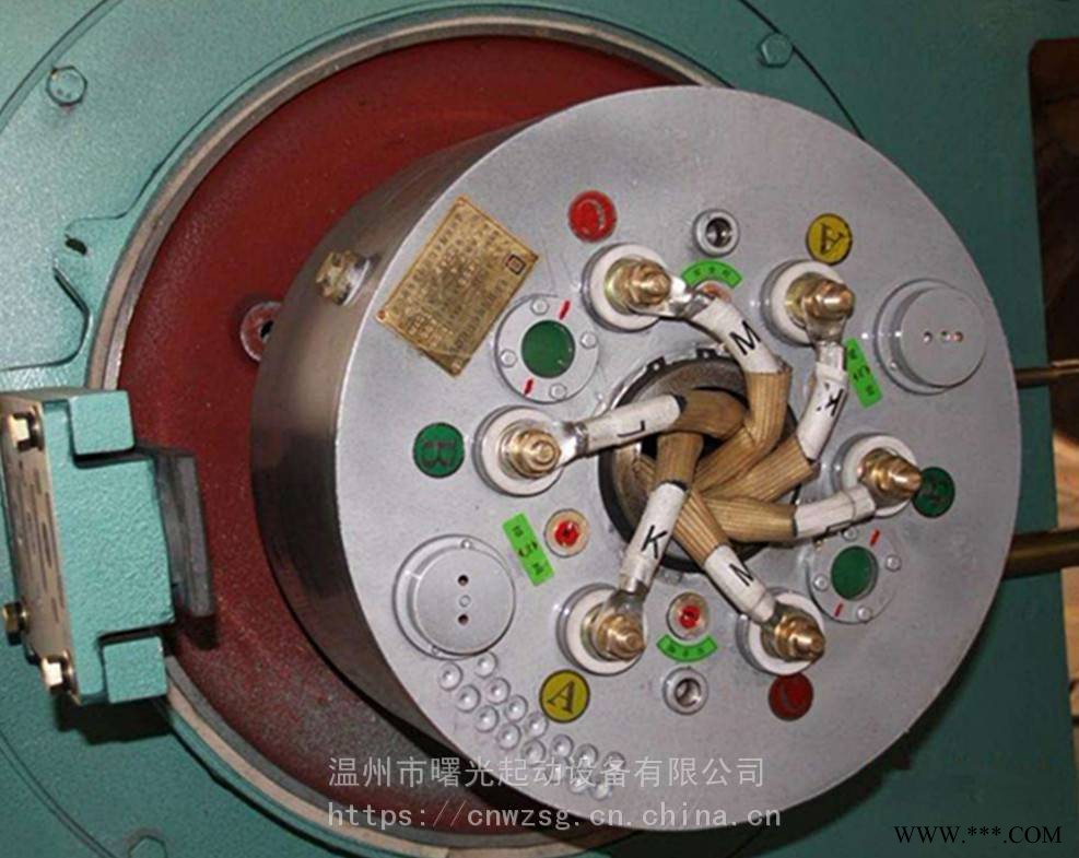 绕线电机WSZK无刷液阻真空电机启动器质优价廉图1