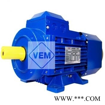 天欧VEM电机163688/0001H K21R 315M 4 IL KV NS TPM VL HW图1