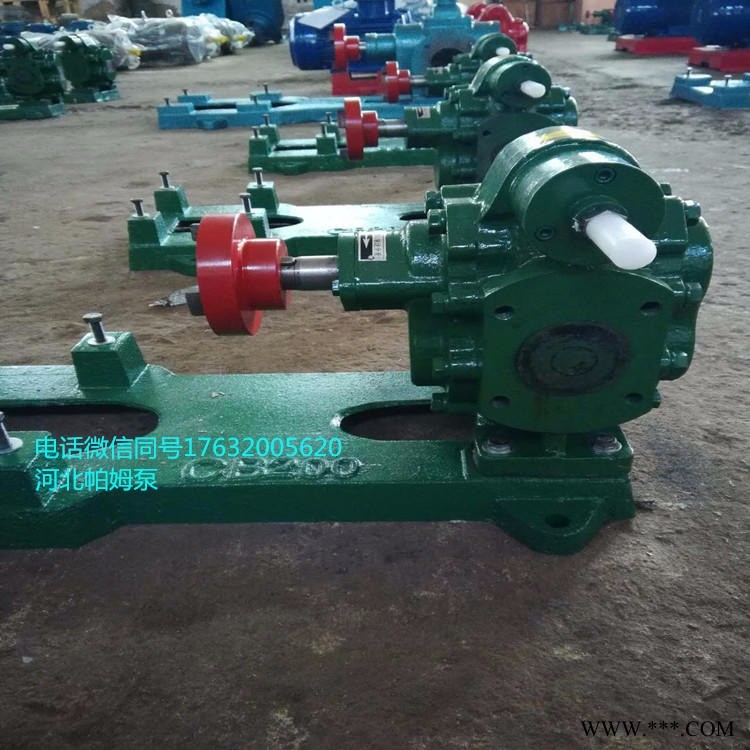 河北帕姆泵供应 燃料油供油齿轮泵 用KCB633流量38方不锈钢齿轮泵   配11KW-6电机用于颜料公司图1
