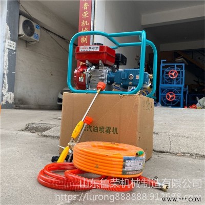 植保园林打药机械 电动打药机 汽油打药机 柴油打药机 无线遥控自动收放管打药机 双电机排管打药机多功能系列打药机