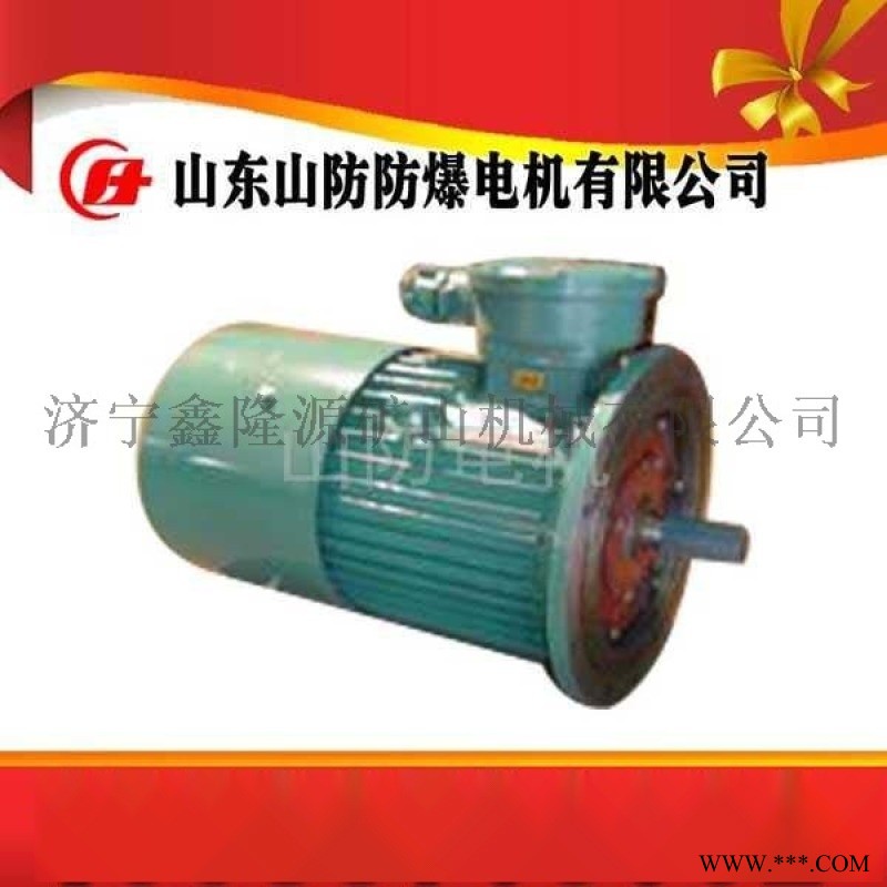 YBK3-315M-4隔爆型三相异步电动机 YBK2-315M-4防爆电机图1