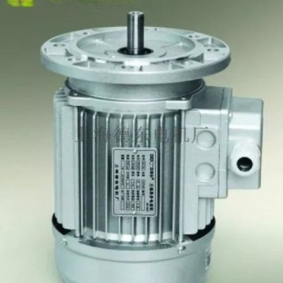德东全部产品 德东电机系列YS0.75KW-6