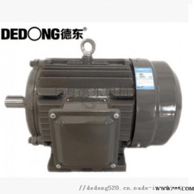 德东  电机 YE2-132M1-6 4KW