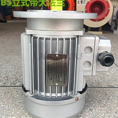 德东  电机 YS7114 0.25KW