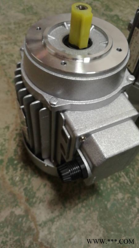 德东YS5622B14功率120W铝壳电机图1