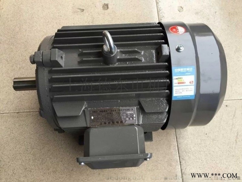 德东电机YE2-80M2-4 0.75KW中德合作质量保障图1