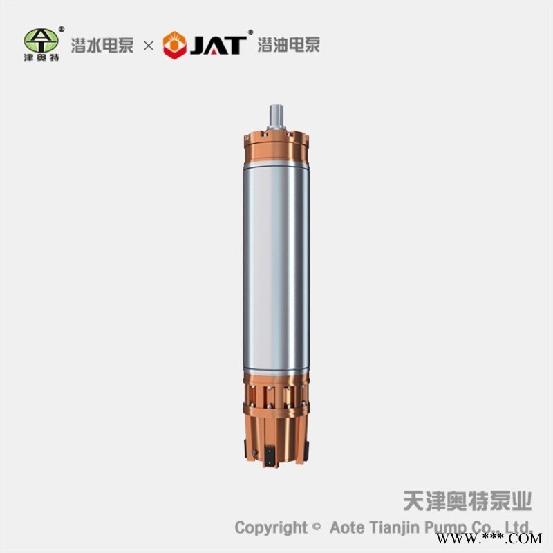 锡青铜潜水电机, YQS潜水马达, 不锈钢电动机图1