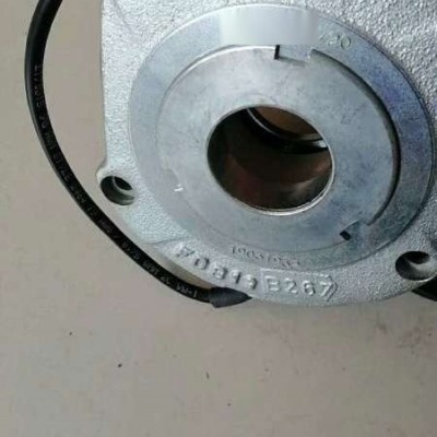 ZFB100/GH12500/4D132MD4X-12/2诺威ABM双速电机ZFB100制动器刹车片