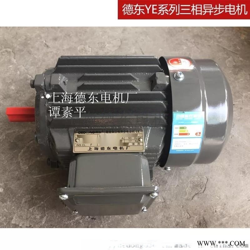 德东电机厂YE2-90S-6 0.75KW图1