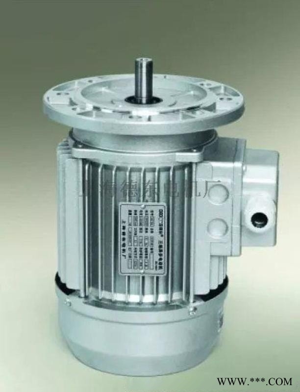 德东电机厂YS8024 0.75KW图1