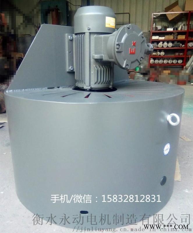 风机防爆轴流风机BG315衡水永动定做电机散热风机图1