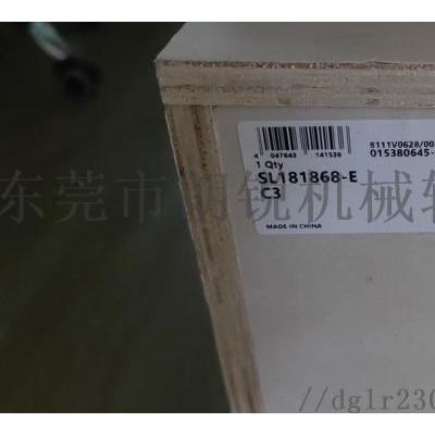 德国INA轴承SL181868-E-C3