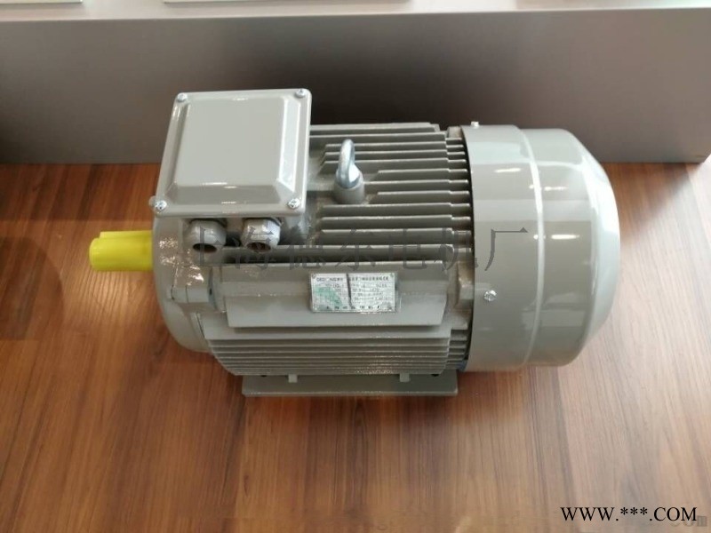上海德东YE2系列1.1KW 6级铁壳电机图1