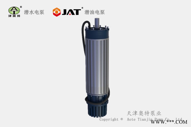 YQS250潜水电机, 铸铁潜水电机, 380V电机图1
