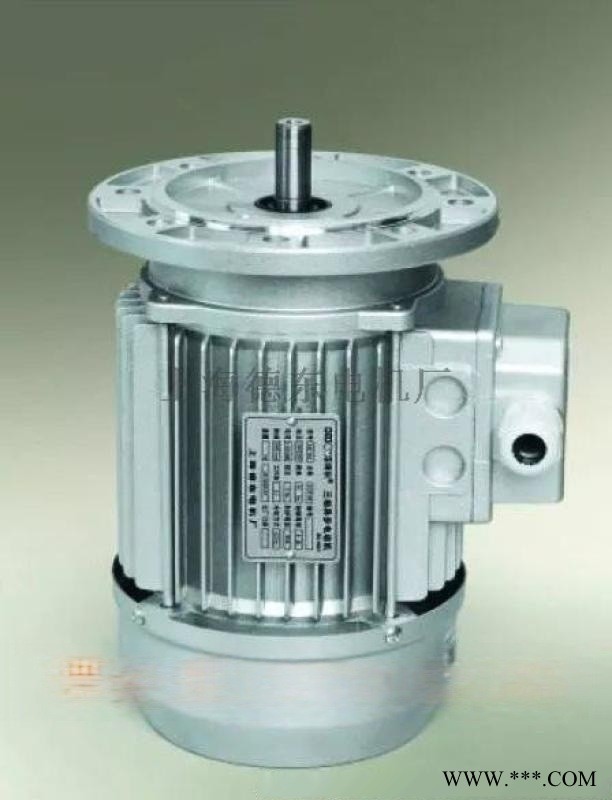 铝壳小功率电机YS8016B5 0.37KW低噪音图1