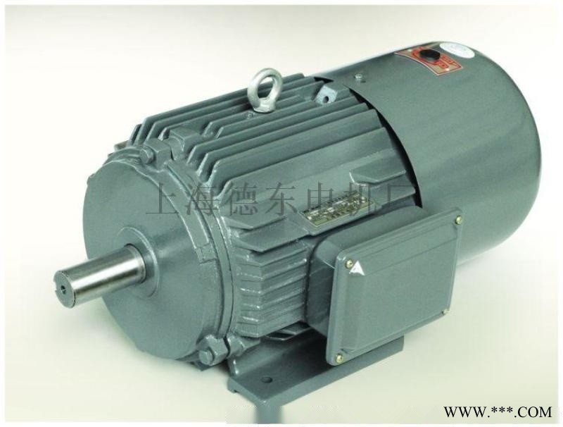 德电机东生产厂家YEJ2 100L2-4 3KW图1