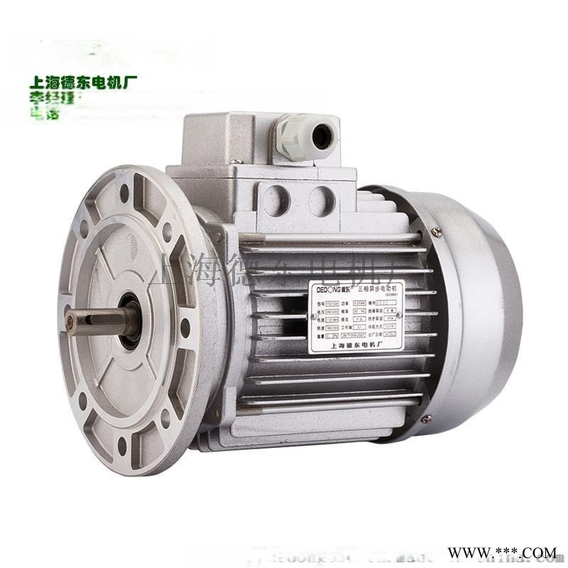 德东  电机YS8026 0.55KW小功率图1
