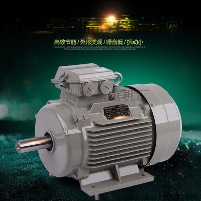 德东电机YE2-225M-4 45KW