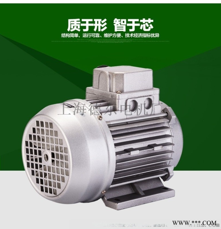 德东电机首页YS6322 0.25KW图1