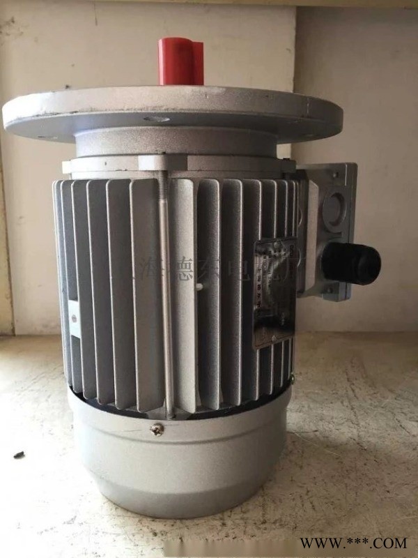 上海德东低噪音低振动YS7126B5微型电机图1