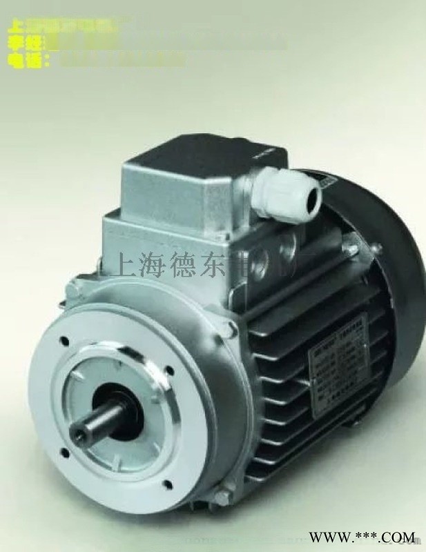 德东产品信息YS100L2-4 3KW铝壳电机图1