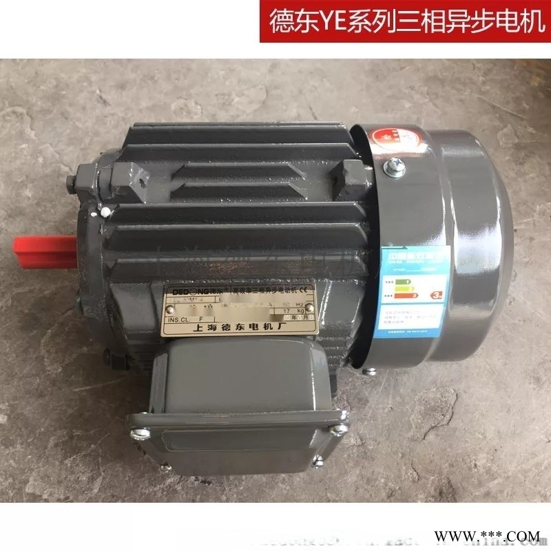 德东洗车机  YE2-100L2-4 3KW防水电机图1