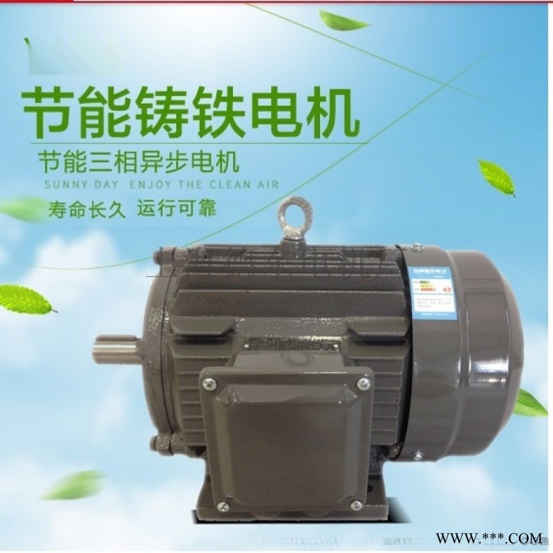 德东电机详情YE2-160M1-8 4KW图1