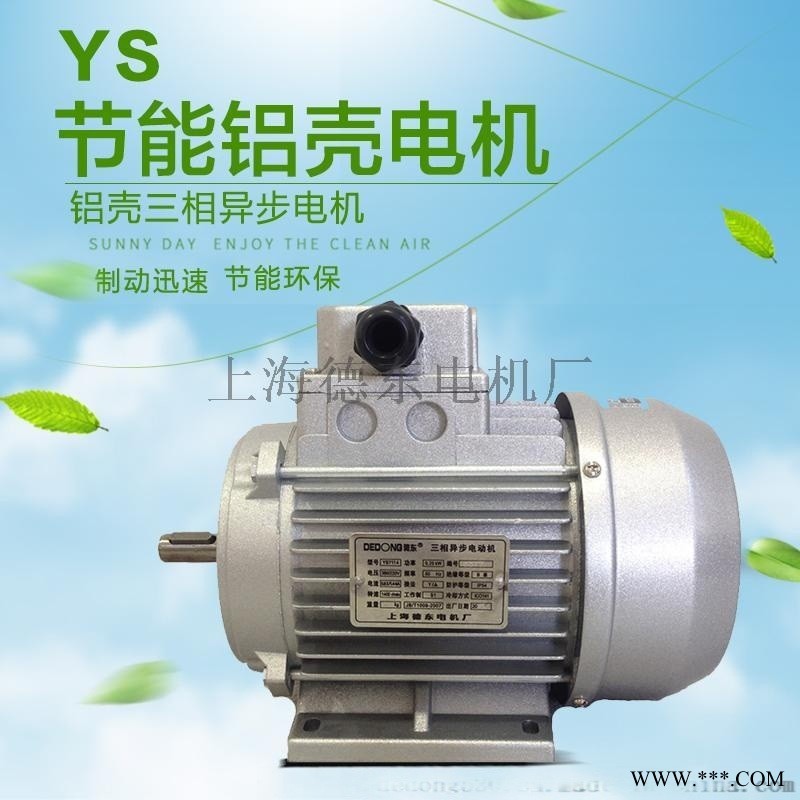 销售上海德东电机YS7132 0.75KW图1