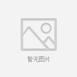 0124655097（0124655178）发电机图1