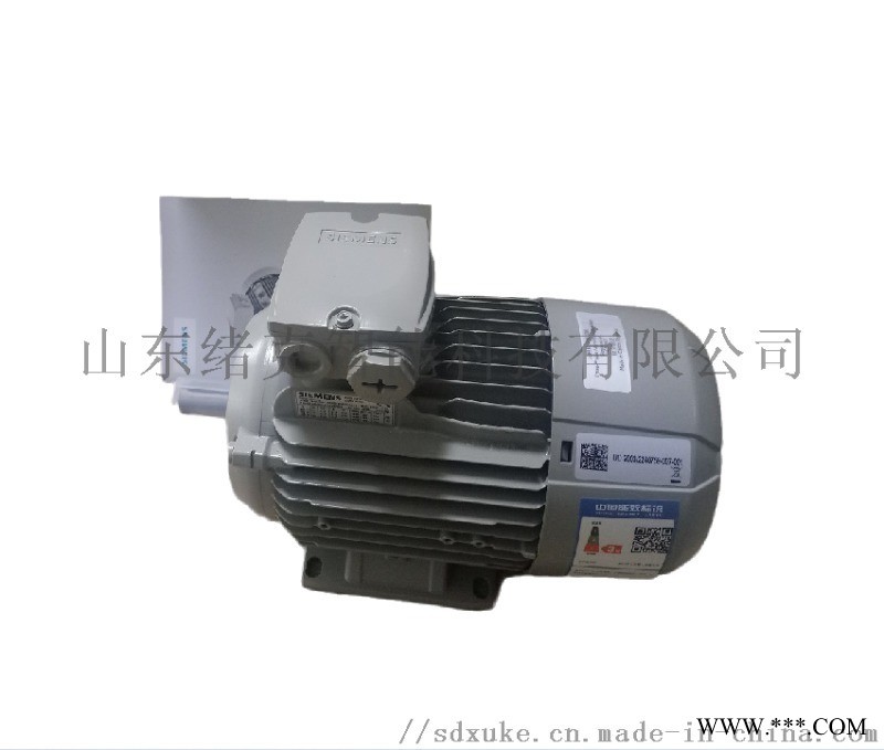 西门子电机1LA8403-4AB60图1