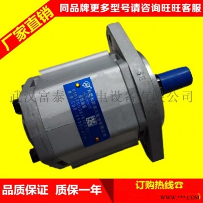 合肥长源液压齿轮泵CBHT-F325平左法兰
