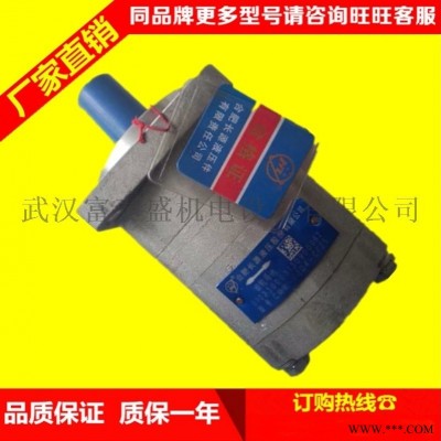 合肥长源液压齿轮泵CBN-F316-扁右法兰